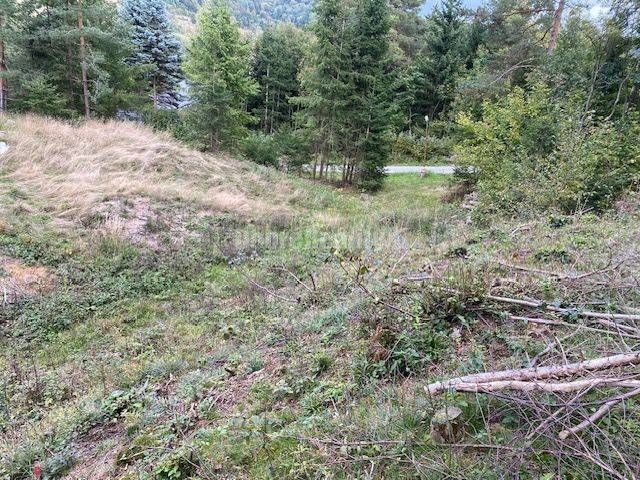 Grundstücke - Wohnen in Kremnické Bane mit einer Umgebung voller Bäume und Gras.