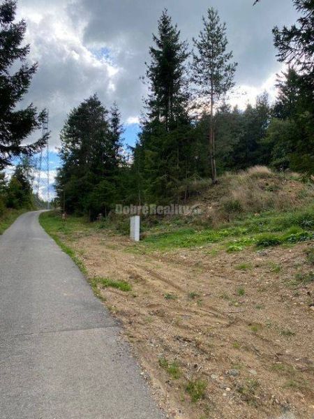 Der befestigte Weg führt an einem Waldgrundstück vorbei, das sich in Kremnické Bane zum Wohnen eignet.