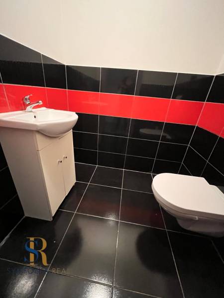 Badezimmer in einem Einfamilienhaus mit Sanitäranlagen, schwarz-roten Fliesen und Waschbecken.