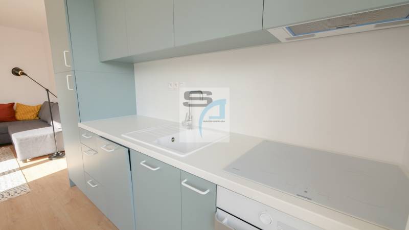 Küche in einer 2-Zimmer-Wohnung mit Spüle, Induktionskochfeld und Boden mit Holzdekor.