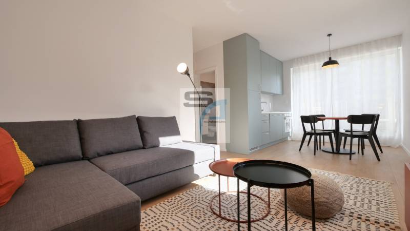 Wohnzimmer in einer 2-Zimmer-Wohnung mit Sofa, Esstisch und Holzboden.