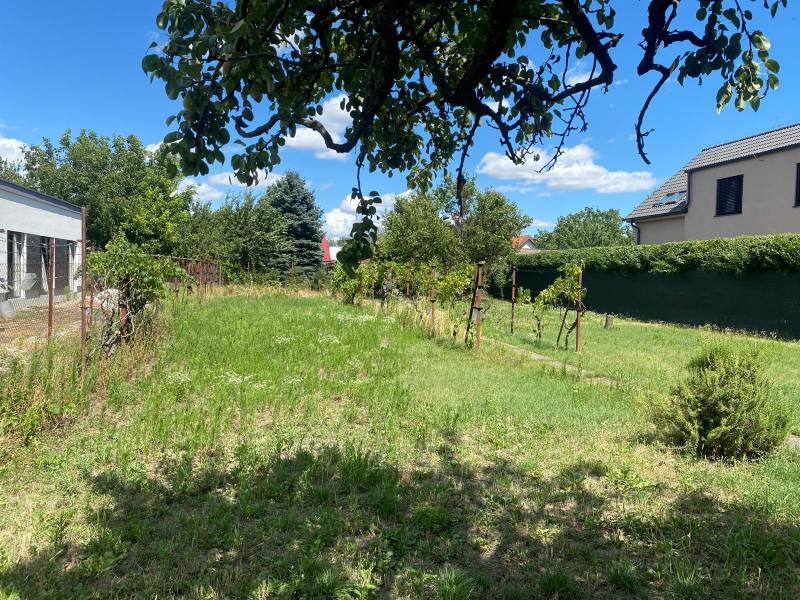 Ein Garten mit Rasen und Weinreben in Bratislava - Podunajské Biskupice, ideal für Grundstücke - Wohnen.