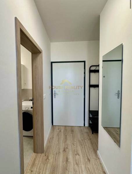 Flur mit Holzboden, Spiegel und Eingang zum Badezimmer in einer 2-Zimmer-Wohnung.