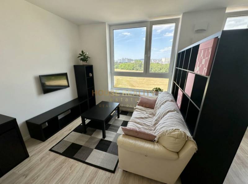 Wohnzimmer in einer 2-Zimmer-Wohnung mit Sofa, Fernseher und Holzboden.