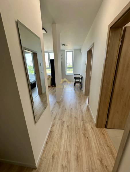 Flur in einer 2-Zimmer-Wohnung mit Holzboden, heller Farbe und Wandspiegel.