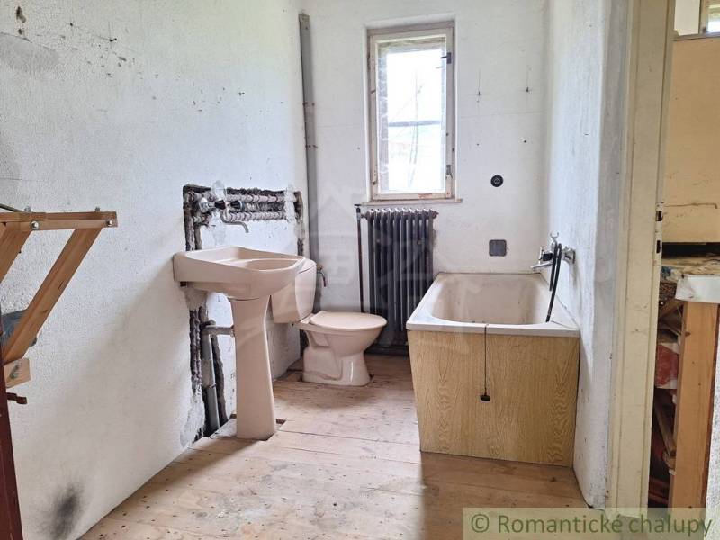 Ein Badezimmer in einem Einfamilienhaus mit Sitzbadewanne, Heizkörper und einem Boden in Holzoptik.