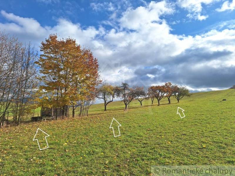 Herbstlandschaft mit Obstbäumen am Hang bei Liptovské Beharovce.
