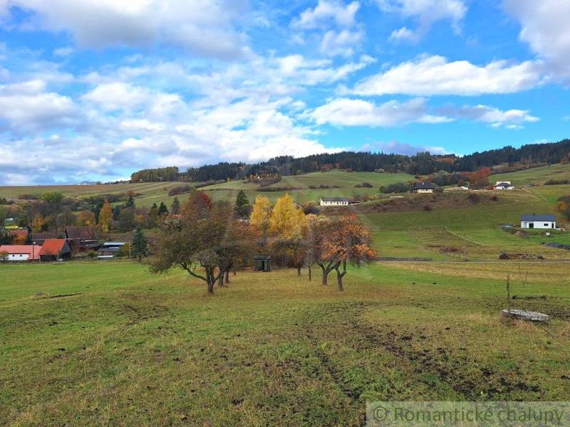 Landschaft in Liptovské Beharovce mit Obstbäumen und Einfamilienhäusern im Hintergrund.