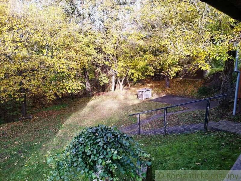Der Garten bei der Hütte in Dudince mit Herbstbäumen und Rasen.