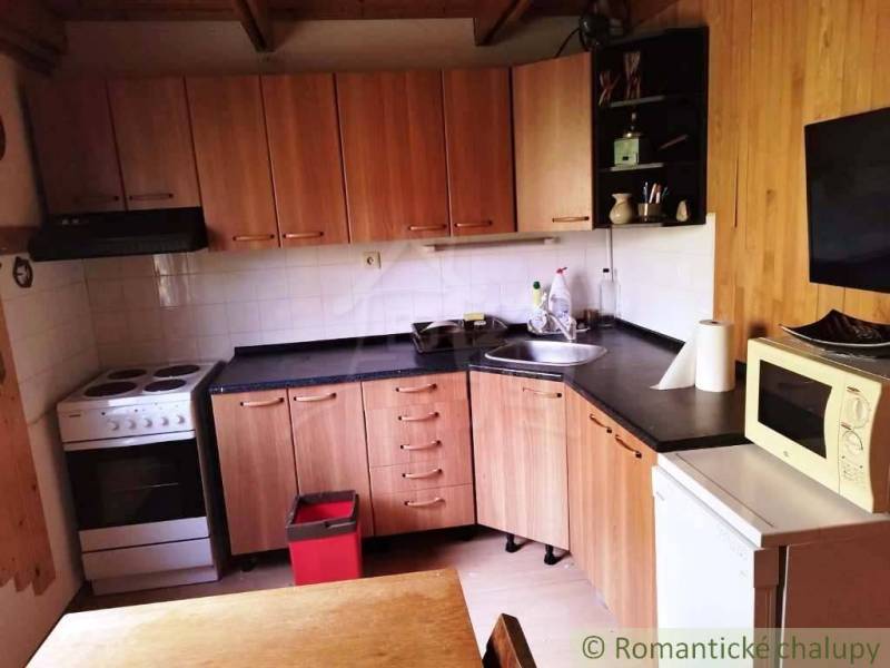 Eine Küche in einer Hütte mit einem Holzboden, einem Kochfeld und einer Mikrowelle.