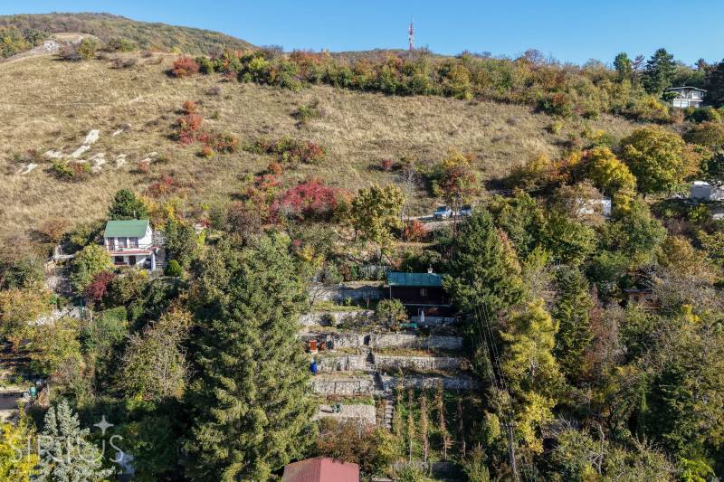 Hügelige Landschaft in den Gärten bei Bratislava auf dem Rückweg in Devín mit Laubbäumen.