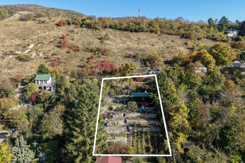 Herbst in den Gärten am Rückweg in Bratislava - Devín unter dem bewaldeten Hügel.