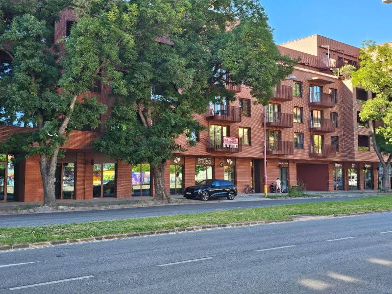 Ein Wohnhaus in der Košická-Straße in Bratislava-Ružinov, das von dichten Bäumen überschattet wird.