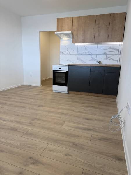 Einzimmerwohnung mit Küchenzeile, Herd und Boden in Holzoptik.