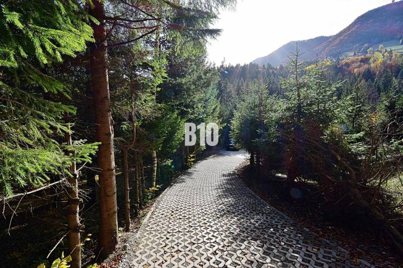 Ein Waldweg, umgeben von Bäumen in Terchová, führt zu einer Hütte in einer Berglandschaft.