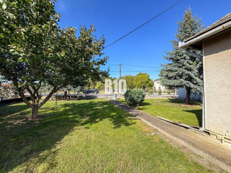 Ein Garten bei einem Einfamilienhaus in Ondrejovce mit Rasen, Bäumen und Sträuchern.