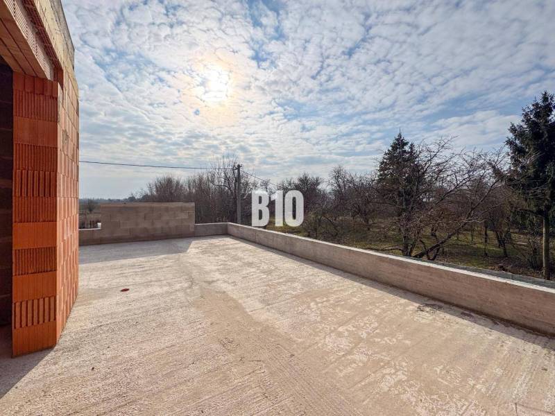 Blick von der Terrasse eines Einfamilienhauses mit Aussicht auf den Garten und die Bäume.
