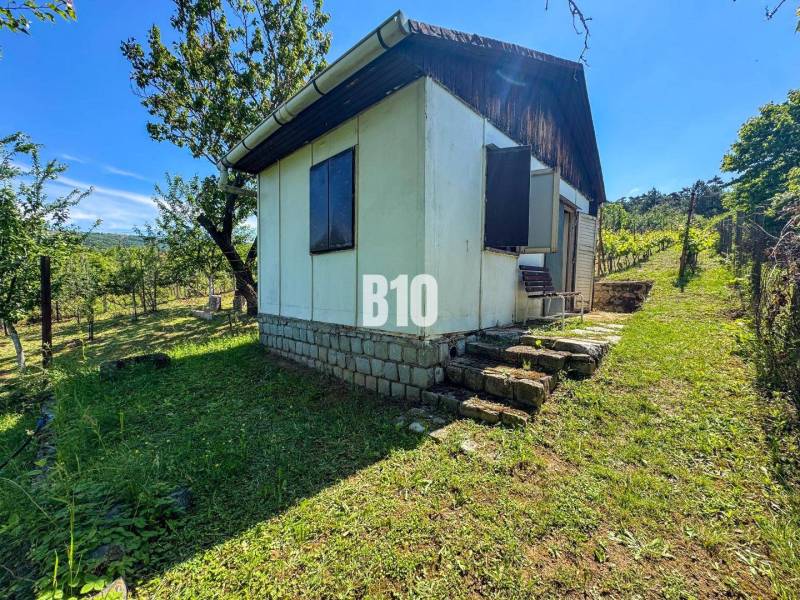 Eine Holzhütte mitten in den Weinbergen von Nitra, umgeben von Grün und Bäumen.