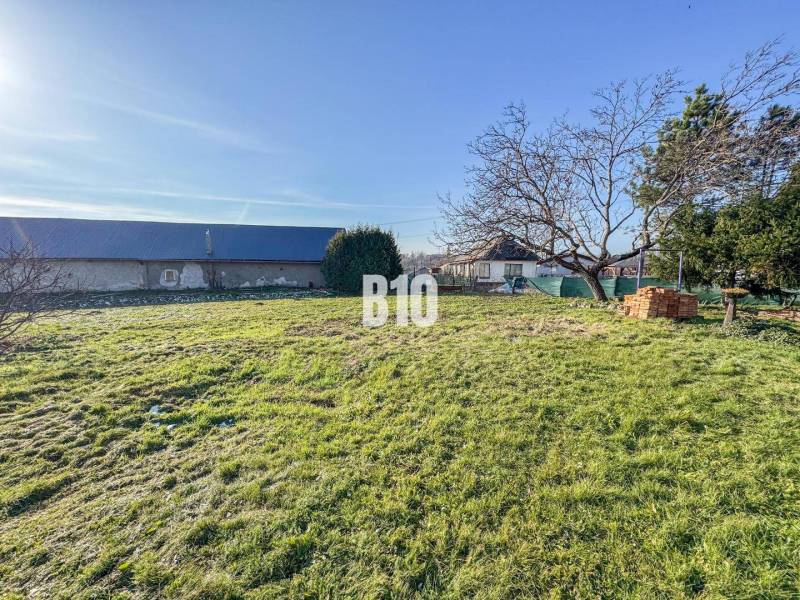 Ein Grundstück mit Rasen, einem Baum und einem Wohngebäude im Hintergrund.