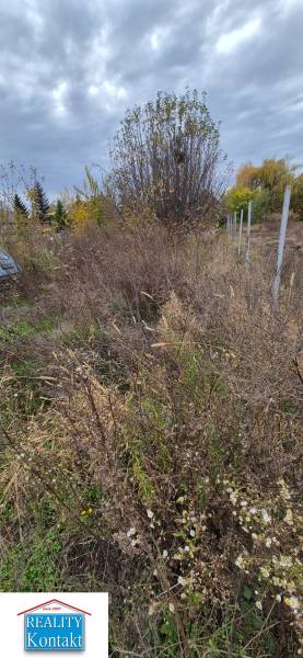 Grundstück in Tvrdošovce geeignet zum Wohnen mit natürlicher Vegetation und Bäumen.