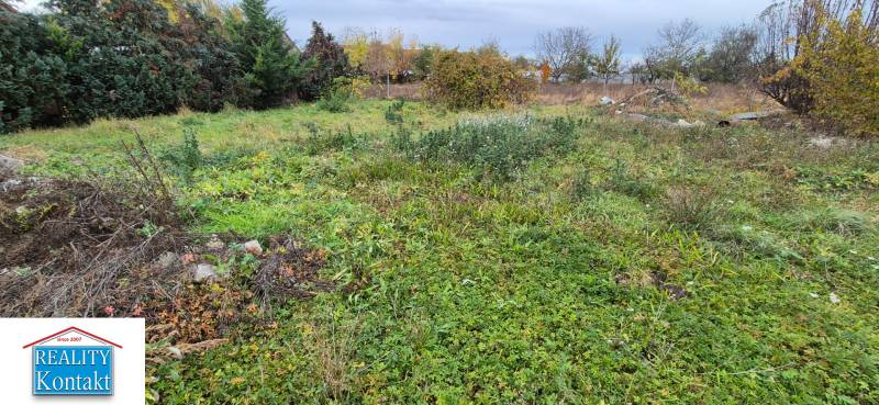 Ein bewachsenes Grundstück zum Wohnen in Tvrdošovce mit dichter Vegetation und umliegenden Bäumen.