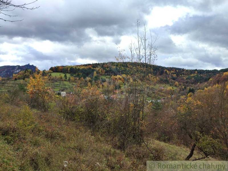 Herbst in den Gärten in Hlboké nad Váhom, bunte Bäume unter einem wolkigen Himmel.