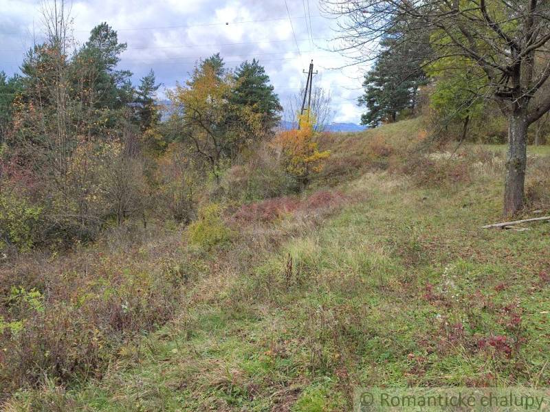 Herbstlandschaft in den Gärten von Hlboké nad Váhom mit Gras, Bäumen und Stromleitungen.