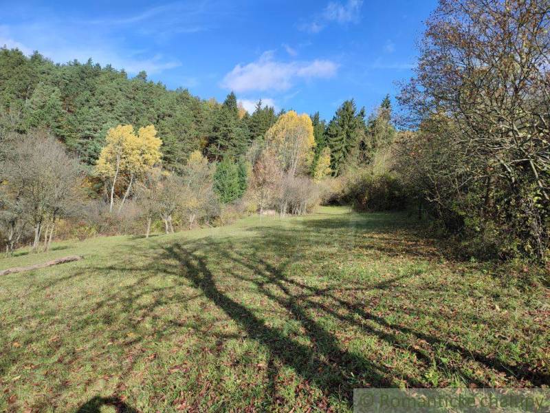 Verschiedene Bäume und grünes Gras in den Gärten bei Hlboké nad Váhom unter blauem Himmel.