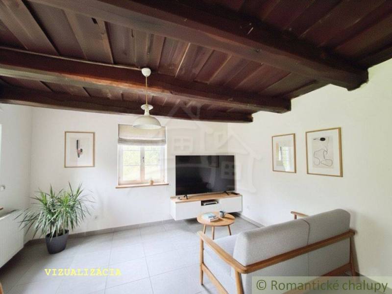 Helles Wohnzimmer in einem Einfamilienhaus mit Holzbalkendecke, Fernseher und Pflanze in der Ecke.