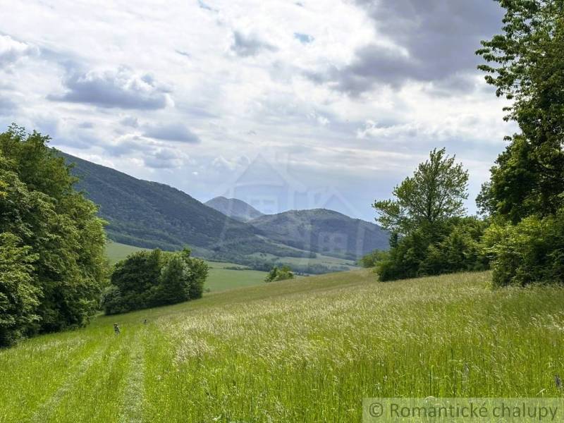 Landschaft in Sološnica mit Wiese und Wald, umgeben von Hügeln unter einer wolkigen Himmel.