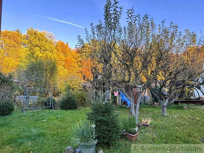 Herbstgarten bei der Hütte in Sološnica mit bunten Bäumen und einer Bank.
