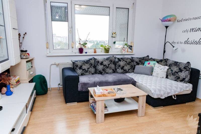 Wohnzimmer mit Sofa, Couchtisch und Holzboden in einer Zweizimmerwohnung.