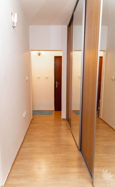 Diele in einer 2-Zimmer-Wohnung mit Holzboden und Einbauschrank.