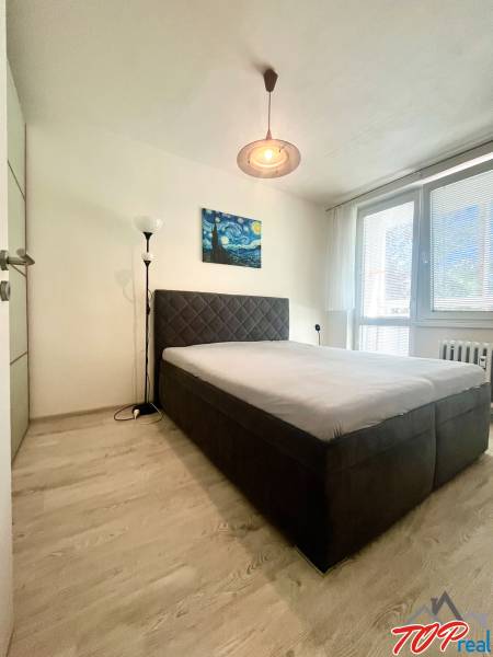 Schlafzimmer mit Doppelbett, Bild und Stehlampe in einer 3-Zimmer-Wohnung.