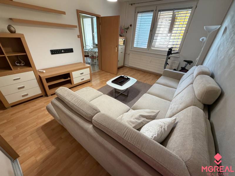 Wohnzimmer in einer 3-Zimmer-Wohnung mit einem Sofa und einem Boden in Holzoptik.