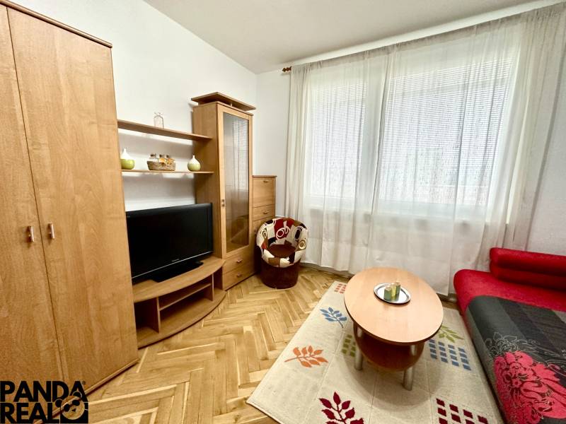 Einzimmerwohnung mit Fernseher, rotem Sofa und Boden in Holzoptik.