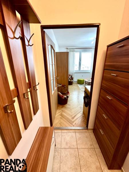 Einzimmerwohnung mit Flur und Holzboden, Blick in den Hauptraum.