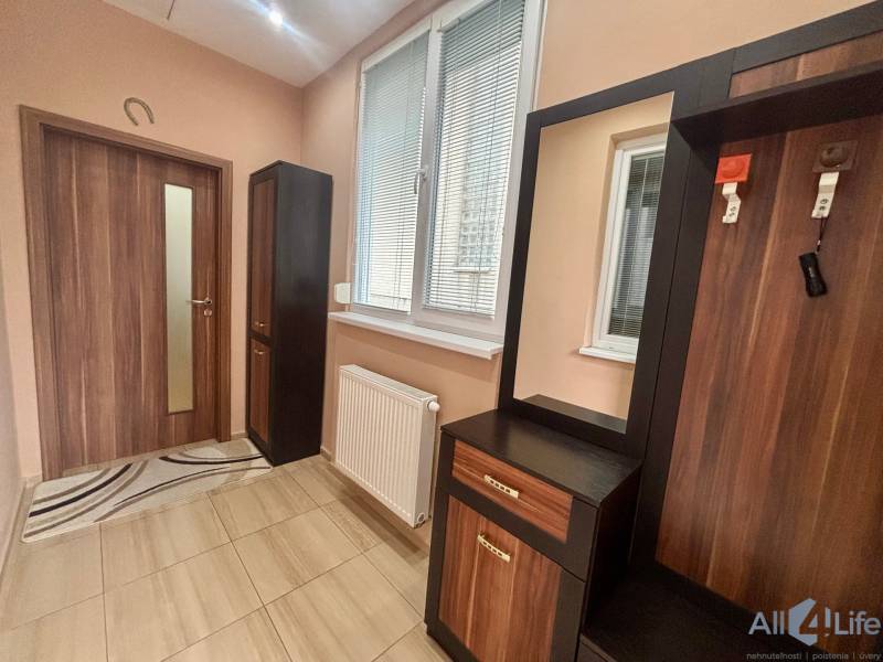 Der Flur einer Einzimmerwohnung mit einem Boden in Holzoptik und Möbeln an der Wand.