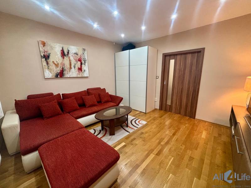 Einzimmerwohnung mit rotem Sofa, Kunst an der Wand und Holzboden.