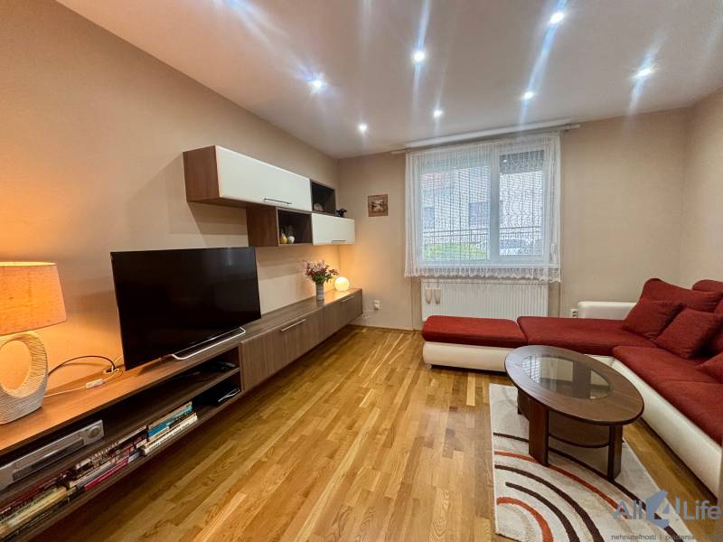 Wohnzimmer in einer Einzimmerwohnung mit Fernseher, Sofa und Holzboden.