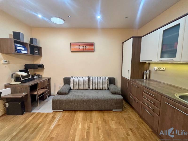 Einzimmerwohnung mit Holzboden, grauem Sofa und Schreibtisch.