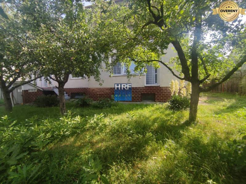 Der Garten beim Einfamilienhaus in der Straße Vieska in Radošovce. Grünes Gras und Bäume.