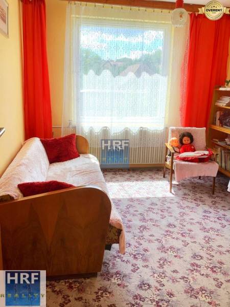 Ein Zimmer in einem Einfamilienhaus mit einem Blumenmusterteppich, einem Sofa und Regalen.