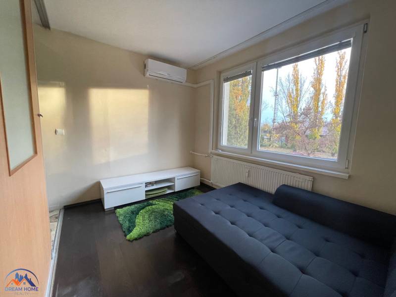 Ein Zimmer in einer Einzimmerwohnung mit einem Sofa, einem grünen Teppich und einem Boden in Holzoptik.