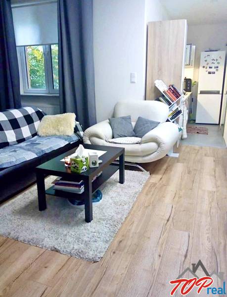 Wohnzimmer in einer Einzimmerwohnung mit Holzboden und bequemen Sitzgelegenheiten.