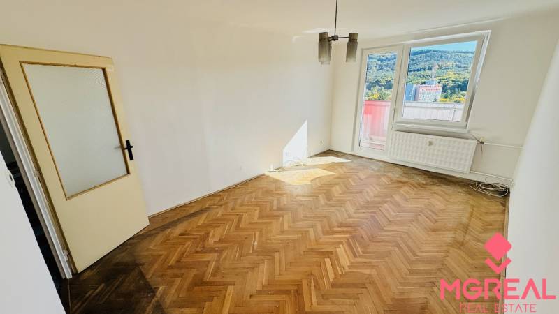 Ein Zimmer mit Holzboden in einer Einzimmerwohnung, großes Fenster, Tür mit Verglasung.