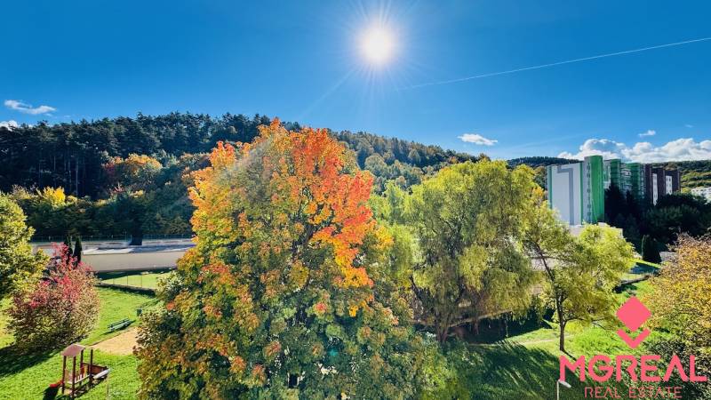 Herbstlandschaft mit bunten Bäumen und Blick auf die Straßen Nádražná in Partizánske.