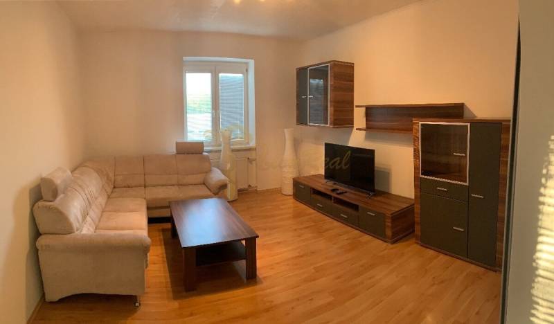 Wohnzimmer in einer 2-Zimmer-Wohnung mit Sofa, Fernseher und Holzboden.