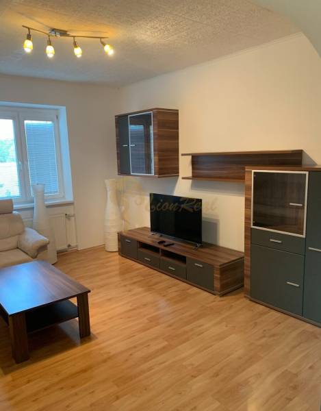 Wohnzimmer in einer 2-Zimmer-Wohnung mit Holzboden und bequemer Couch.