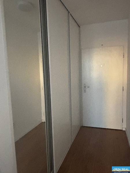 Der Flur in einer 2-Zimmer-Wohnung mit einem großen Schrank und einem Boden in Holzoptik.